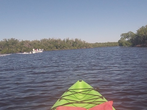 paddling Turner River, kayak, canoe