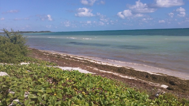 paddling Bahia Honda, Florida Keys, kayak, canoe