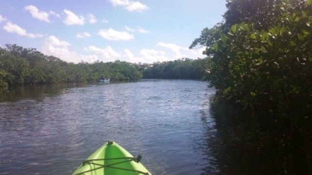 paddling Long Key State Park, Florida Keys, kayak, canoe