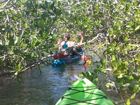 paddling Sugarloaf Key, Florida Keys, kayak, canoe
