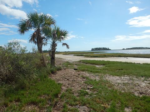 paddling big bend saltwater trail