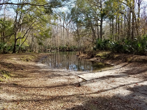 paddling Ocklawaha River, kayak, canoe