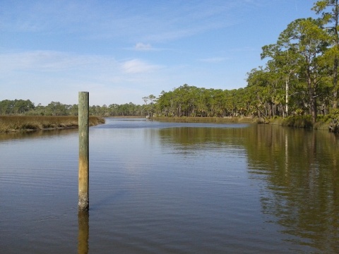 Pellicer Creek