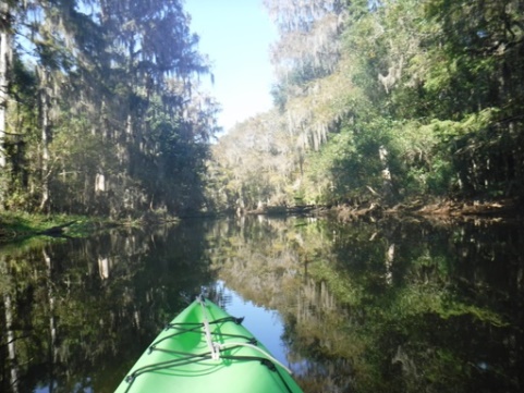 paddling Potano Paddling Trail, Prairie Creek, kayak, canoe