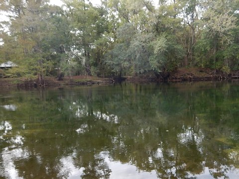 paddling Santa Fe River, Hollingsworth Bluff, kayak, canoe