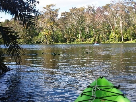 paddling Silver River, Fort King Waterway