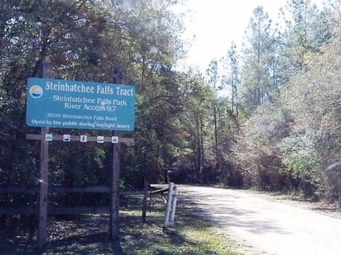 paddling Steinhatchee River