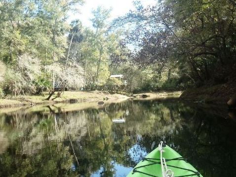 paddling Steinhatchee River