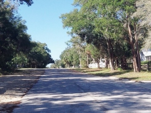 paddling Steinhatchee River