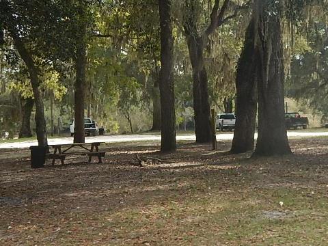 paddling Suwannee River, Gornto Spring Boat Ramp