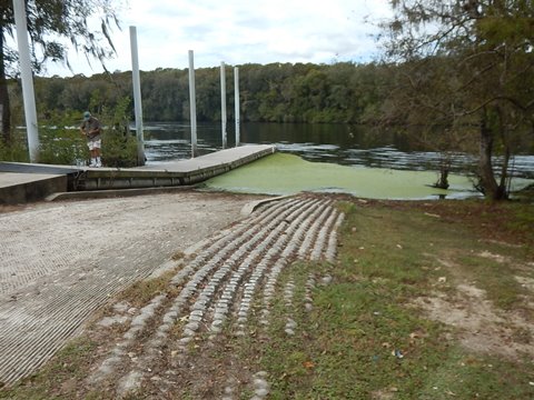 paddling Suwannee River, Shingle Landing, Otter Springs