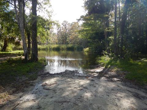 paddling Suwannee River, Munden Creek