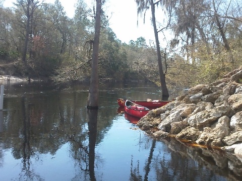 paddling Suwannee River, Wayside Park