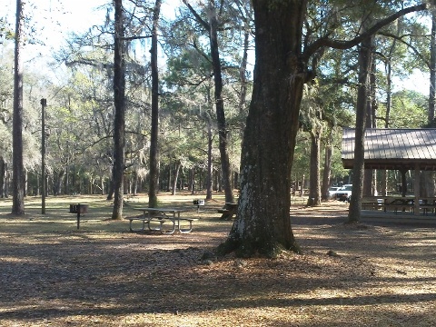 Suwannee River State Park