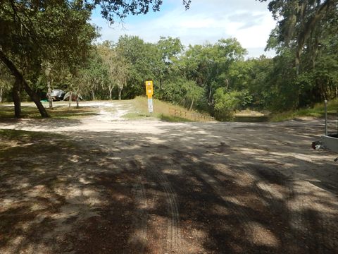Suwannee River Sims Landing