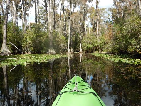 paddling Suwannee River, Stephen C. Foster SP, Georgia