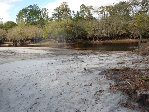 paddling Suwannee River, Griffis Fish Camp