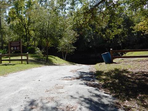 paddling Suwannee River, Cone Bridge