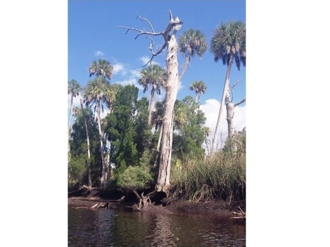 paddling Otter Creek, kayak, canoe