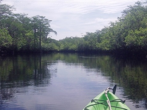 paddling, Apalachicola River ARWEA, Bloody Bluff Landing
