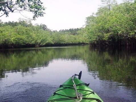 paddling, Apalachicola River ARWEA, Bloody Bluff Landing