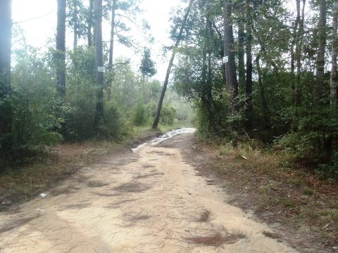 Paddle Florida Panhandle, Boiling Creek - Kayak, Canoe