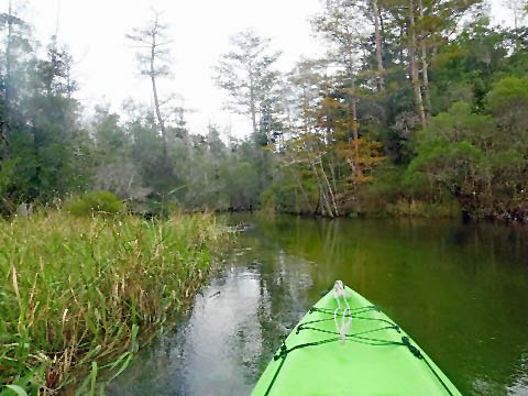 Paddle Florida Panhandle, Boiling Creek - Kayak, Canoe