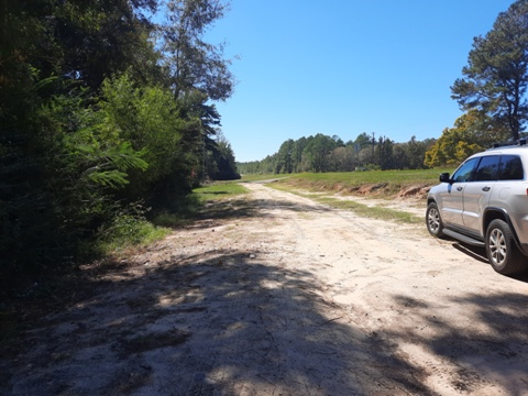 Coldwater Creek, Panhandle
