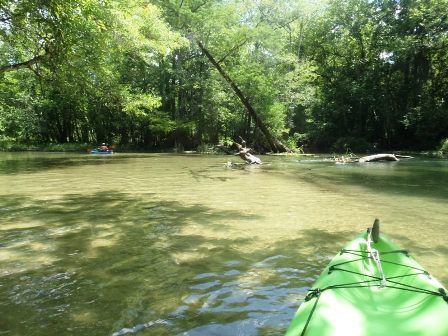 Paddling Holmes Creek, Panhandle
