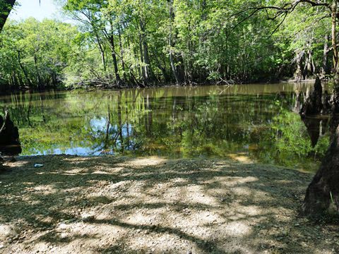 paddling Holmes Creek