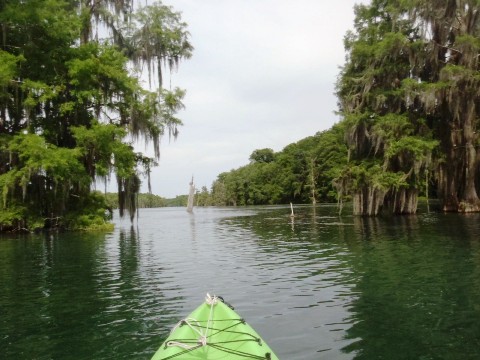 Paddle Florida Panhandle, Merritt's Mill Pond - Kayak, Canoe