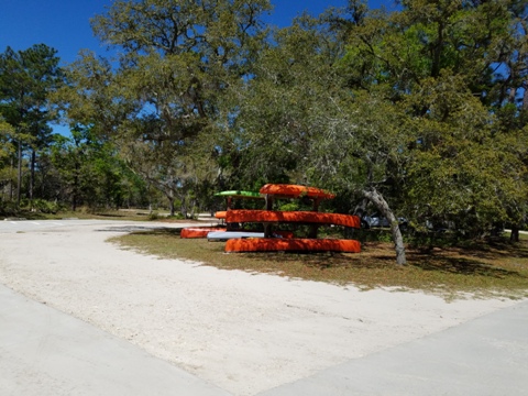 Ochlockonee River, FL Panhandle paddling