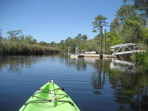 Ochlockonee River, FL Panhandle paddling