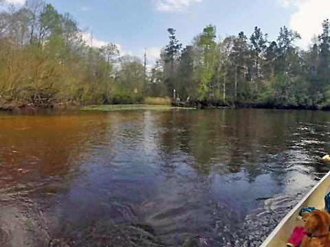 Florida Panhandle, Shoal River Paddling Trail