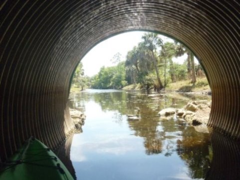 Paddling Loxahatchee River, Riverbend Park, kayak, canoe