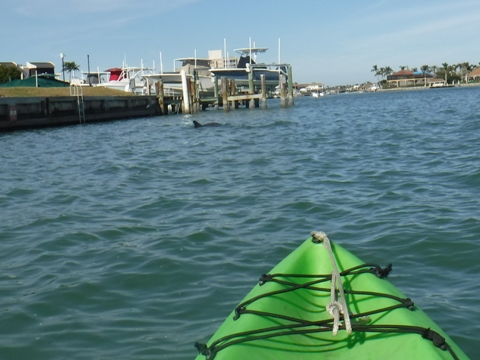 Paddle Marco Island, Caxambas Pass