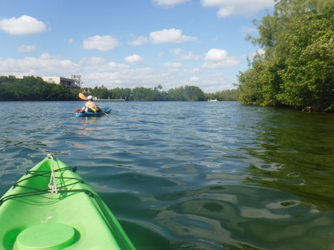 paddle Oleta River, south Florida