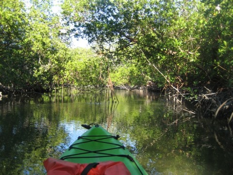 paddle Rookery Bay, Isle of Capri